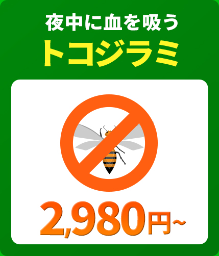夜中に血を吸うトコジラミ（南京虫）